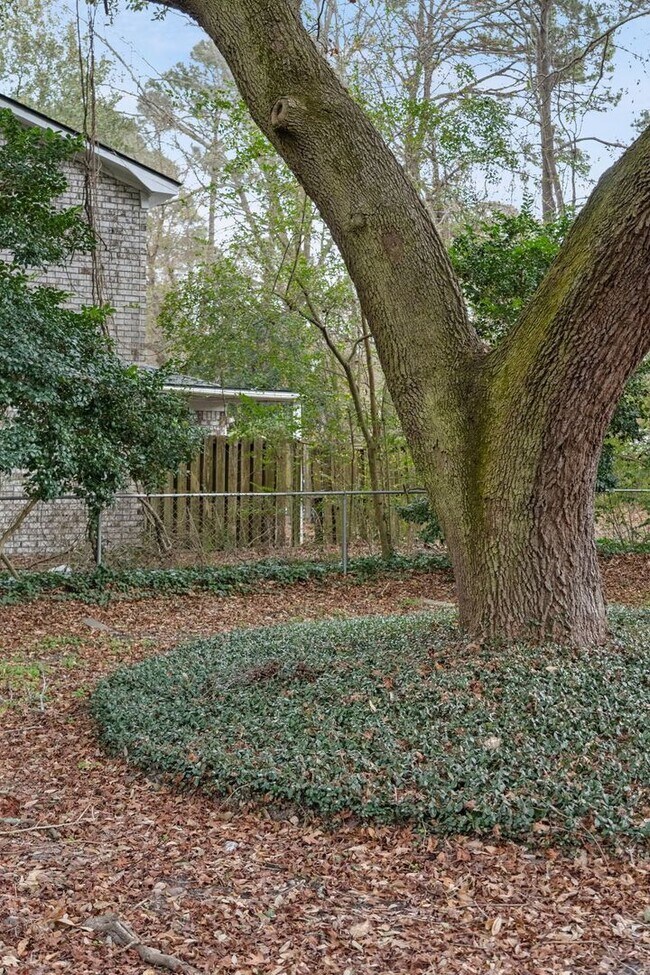 Building Photo - 3BR/2BA Home with Fireplace and Fenced Yard in Mt Pleasant