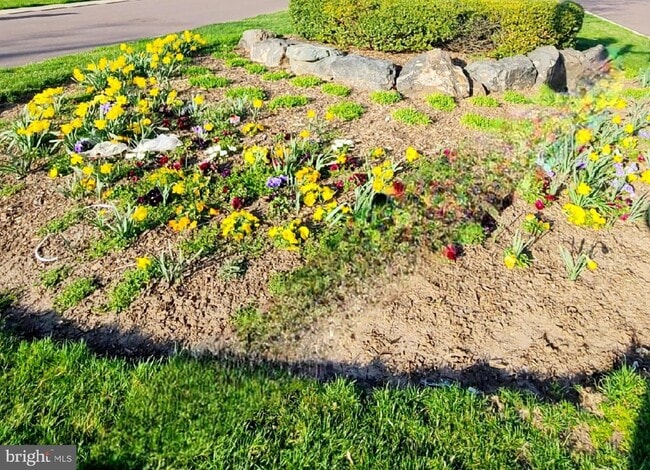 Building Photo - 404 Hopkins Ct