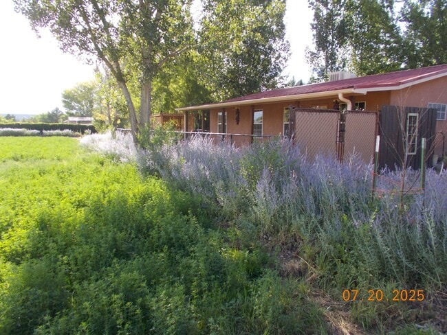 Building Photo - Darling South Valley Guest House Casita