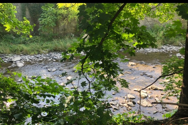 Backyard view - 134 E Spencer St