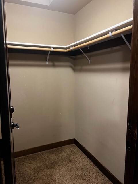 Primary - Walk-In - 383 N Ferguson Ave