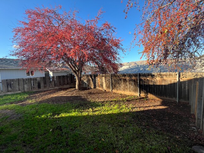 Building Photo - 1710 6th St