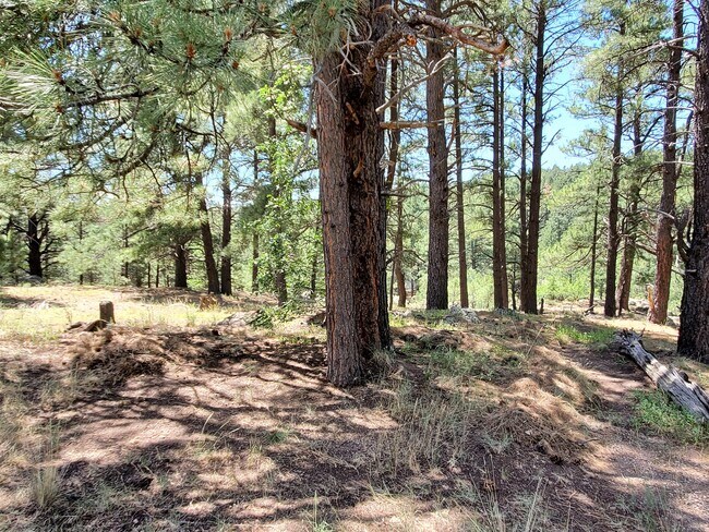 Building Photo - 2678 Mesa Trail