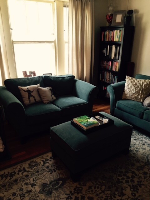 living room - 5105 N Damen Ave
