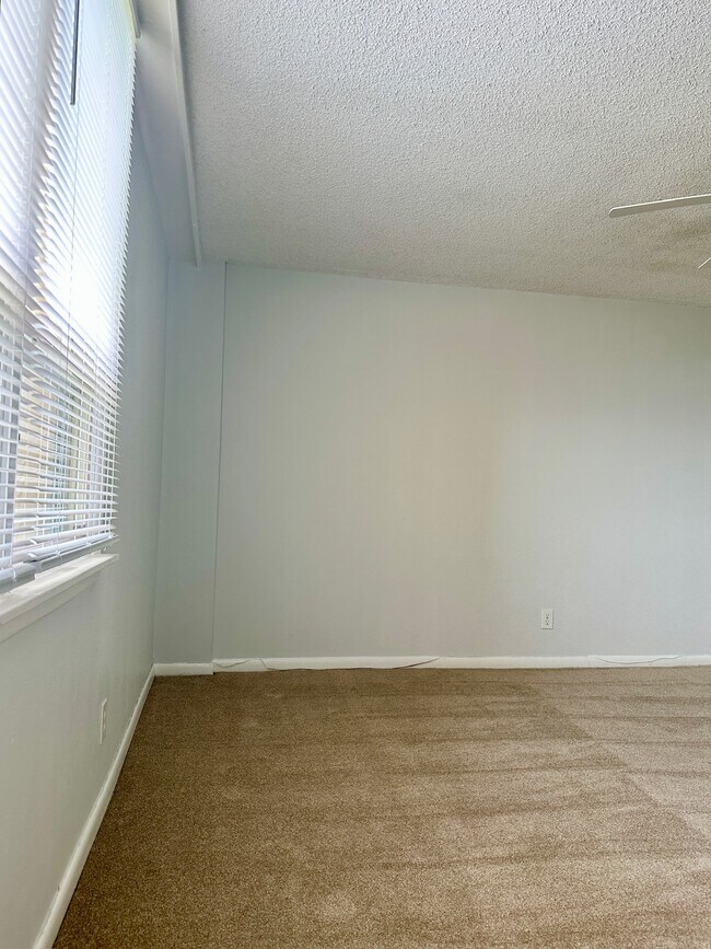 Building Photo - 2617 Cove Cay Dr