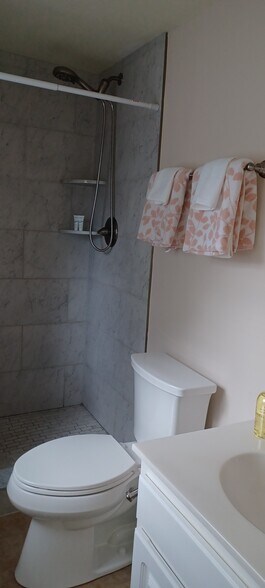 Master BR bath with newly renovated shower - 705 Elsom St