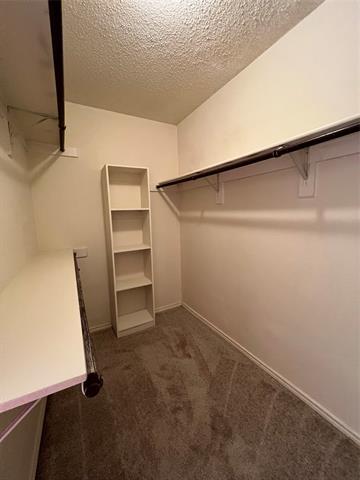 Building Photo - 4913 Portrait Ln