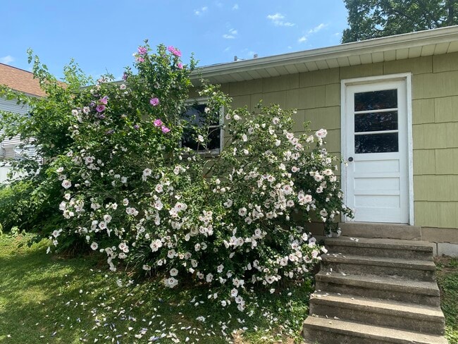 Building Photo - 2346 Pine St