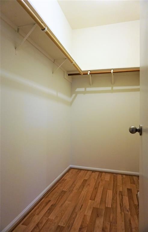 Building Photo - 2207 S Braeswood Blvd