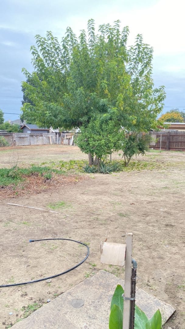 Building Photo - Recently Updated Delhi Home