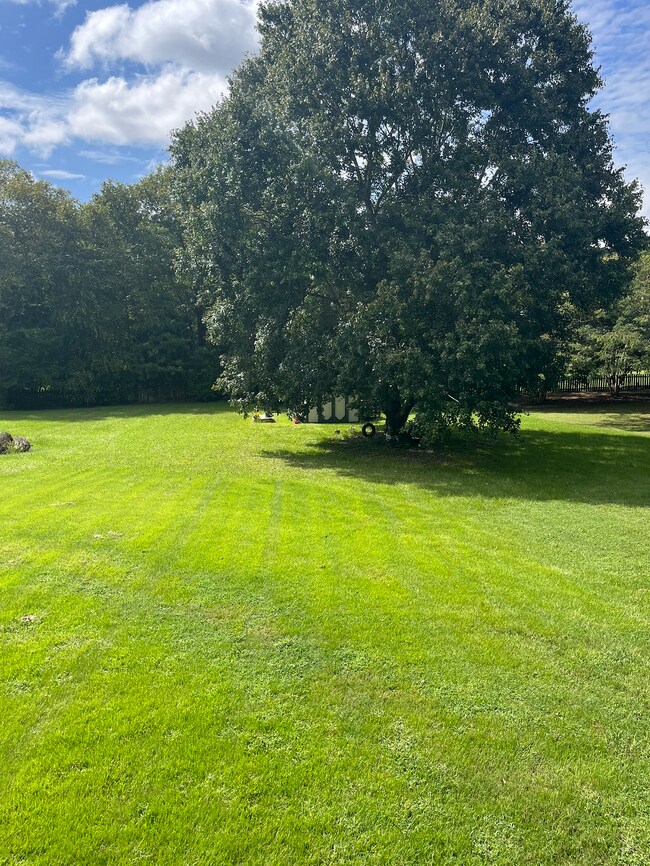 Spacious Backyard - 1033 Lewis Farm Rd