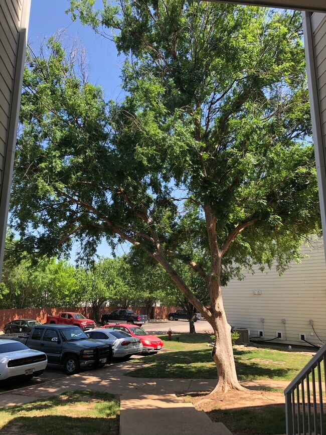 Parking lot 3 - 521 Southwest Pky