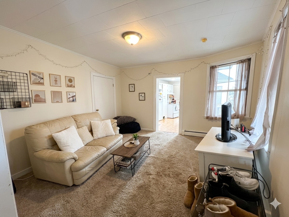 Living Room - 251 Locust St