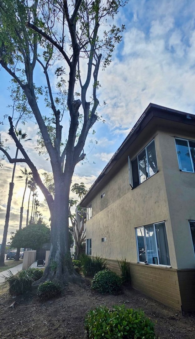 Building Photo - COMING SOON--Newly remodeled 2 bedroom 1 bath apartment 4 blocks from the beach