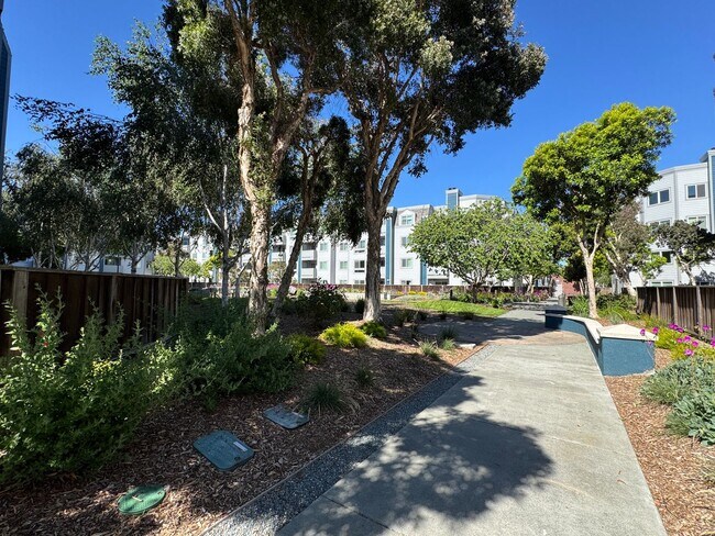 Building Photo - Largest 1-Bedroom Layout with In Unit Laundry