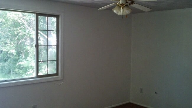 Building Photo - Three bedroom, one bath, huge backyard