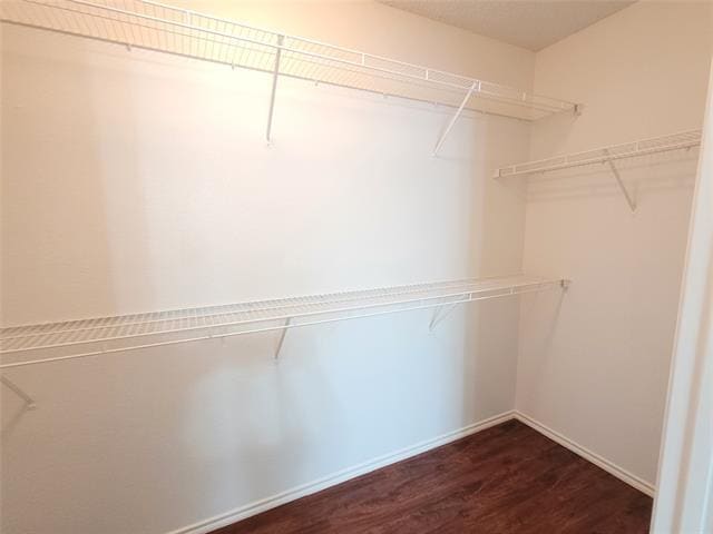 Building Photo - 2710 Bishop Allen Ln