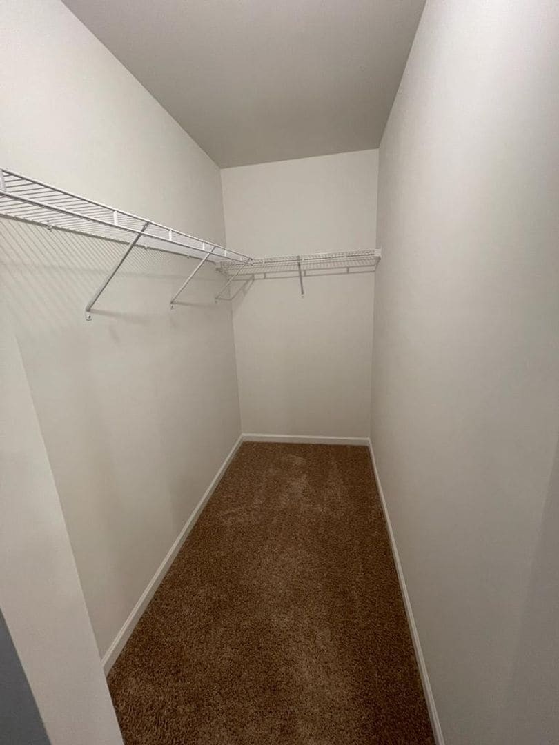 Building Photo - 337 Whitetail Cir