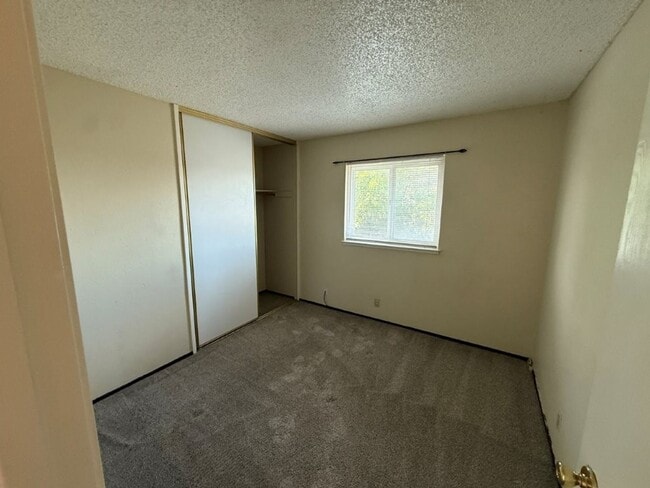 Building Photo - 1003 Blackspur Ct