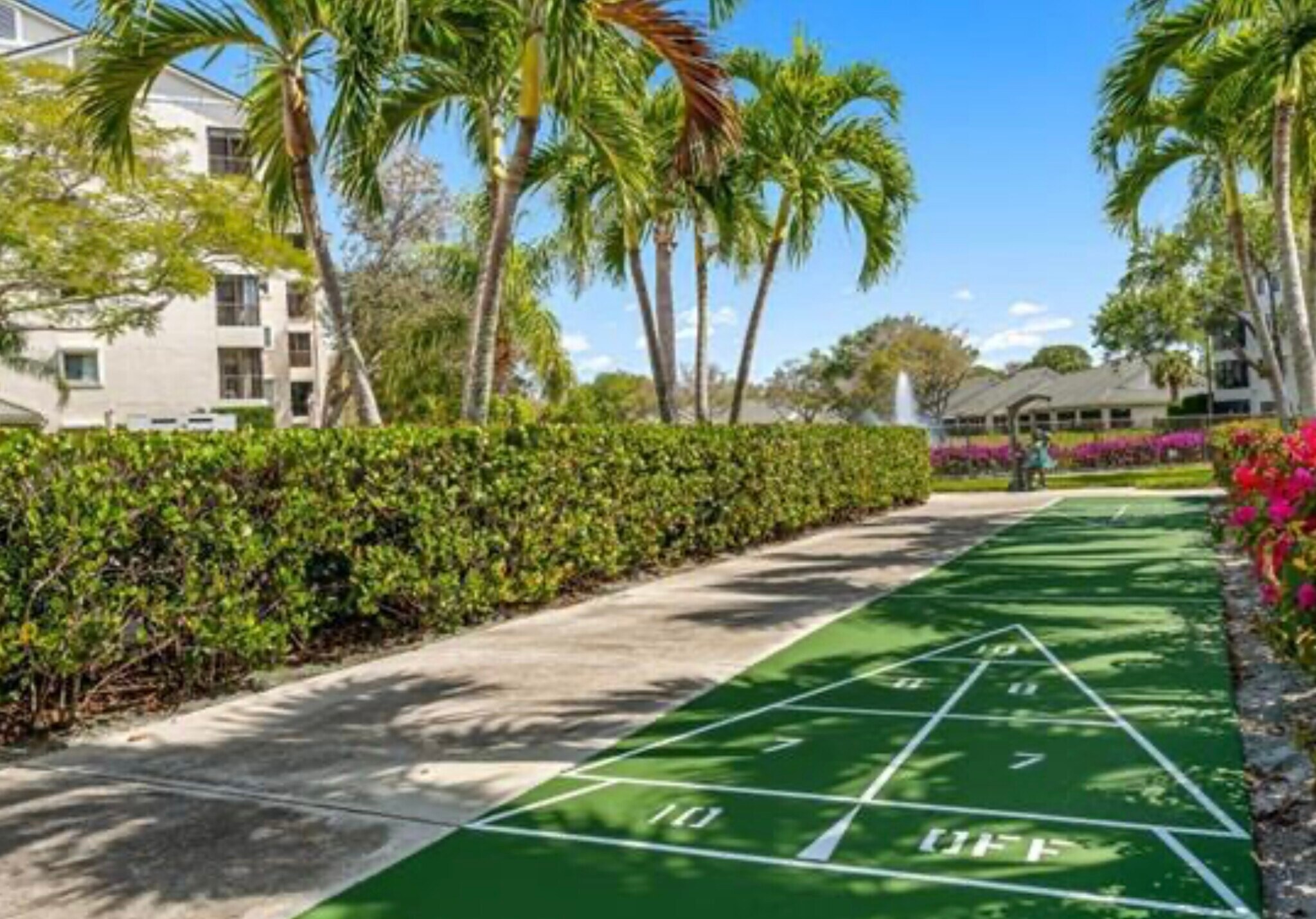 Shuffle board - 1001 Arbor Lake Dr