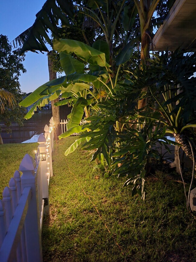 Dog Run Lit at Night - 704 SW 11th Pl