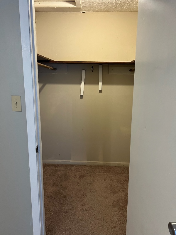 Building Photo - 101 Northwinds Dr