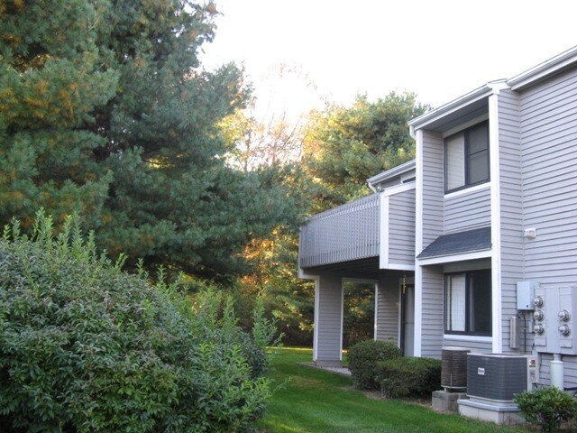 private setting, looking in to the woods. - 107 Hilltop Dr