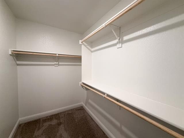 Building Photo - 1873 Ethereal Ln