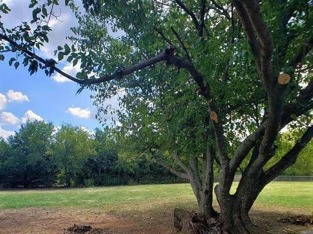 Building Photo - 1168 Preston Meadows Rd