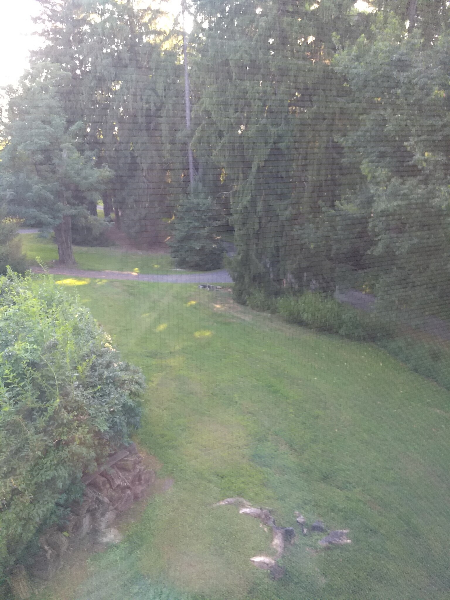 View - 4659 Montgomery Rd