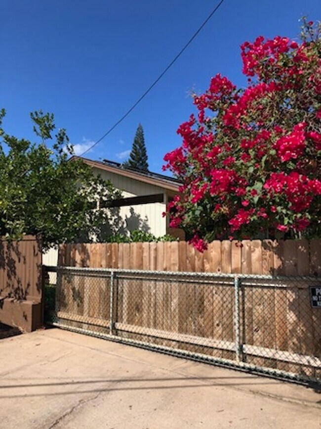 Primary Photo - Unfurnished 1 bd. 1 bath cottage. Availabl...