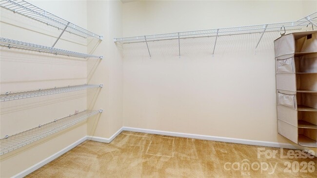 Building Photo - 2102 Big Pine Dr