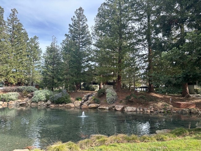 Building Photo - One Bedroom in a Great Community, Excellent Location, with a Pool!