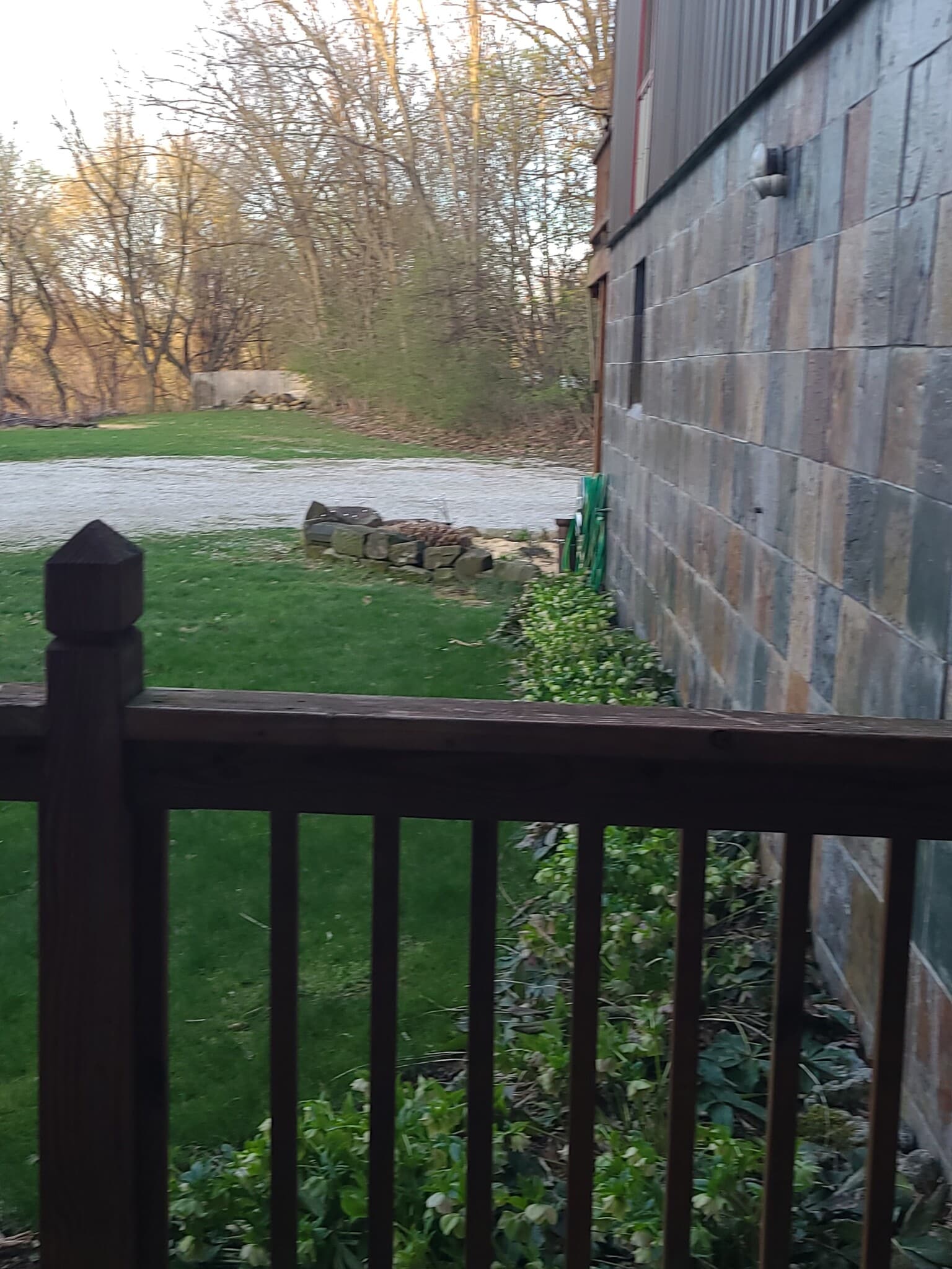 Side of Unit w/Lenten Roses - 277 Bluff St