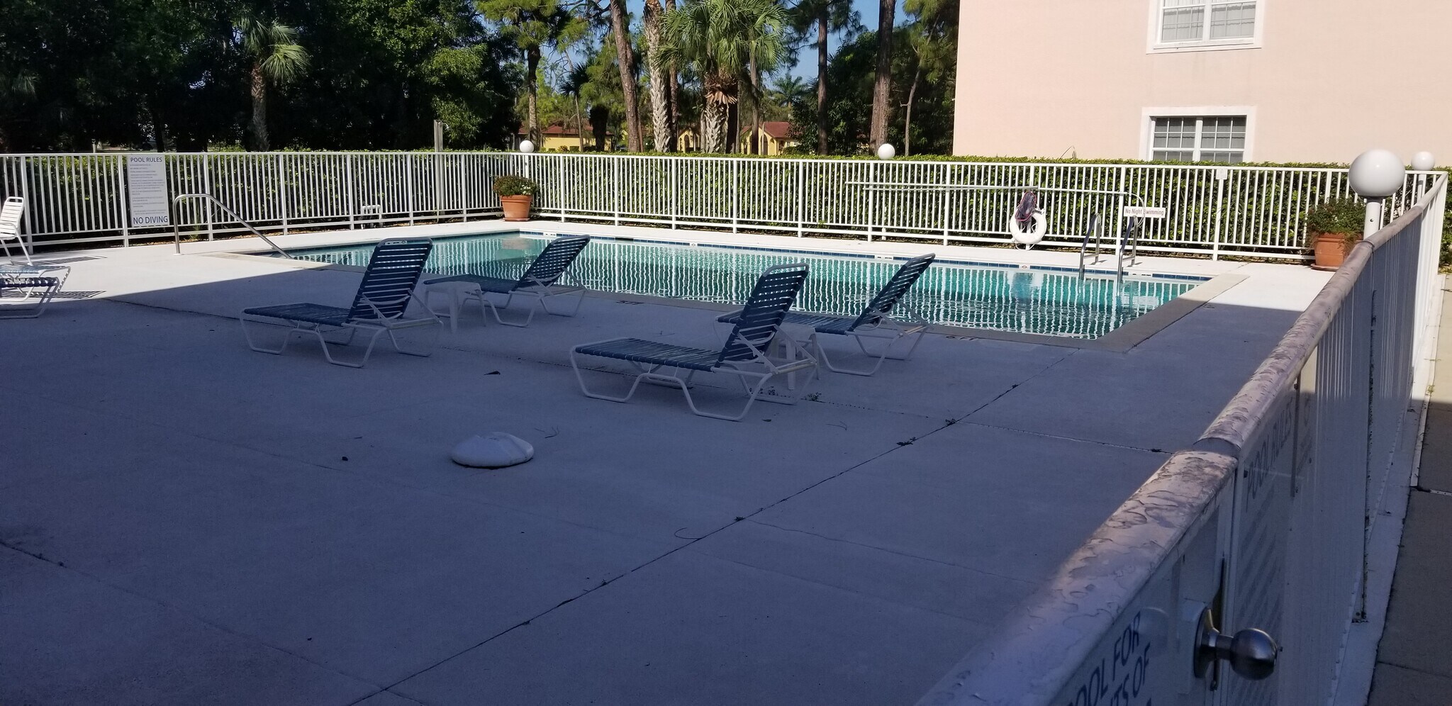 Pool - 481 Quail Forest Blvd