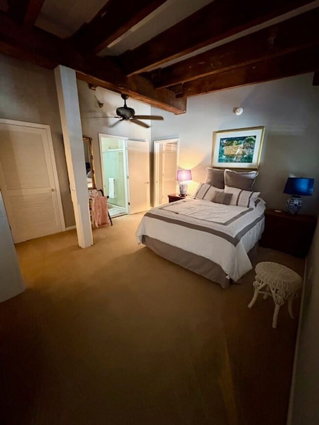 Building Photo - Historic Downtown Fully Furnished 2 Bedroom Condo