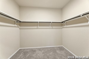 Building Photo - 513 Chelson Hunt