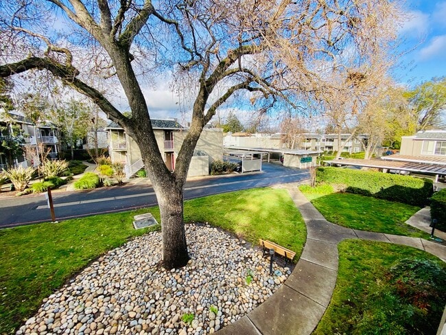 Building Photo - Gorgeous Top Floor Condo Located in Walnut Creek with Inside Laundry and Close to BART is Availab...