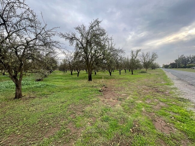 Building Photo - Large 3bd 2 ba home with a great country feel.