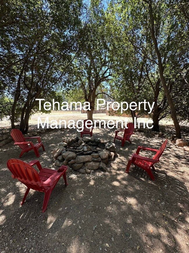 Building Photo - Updated Charming Rustic Home in the Countr...