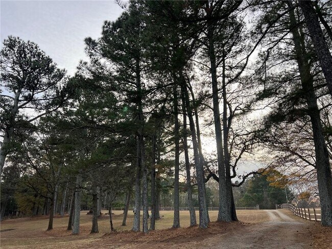 Building Photo - 1745 Mineral Springs Rd