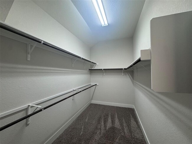 Building Photo - 3804 Sandhill Crane Dr