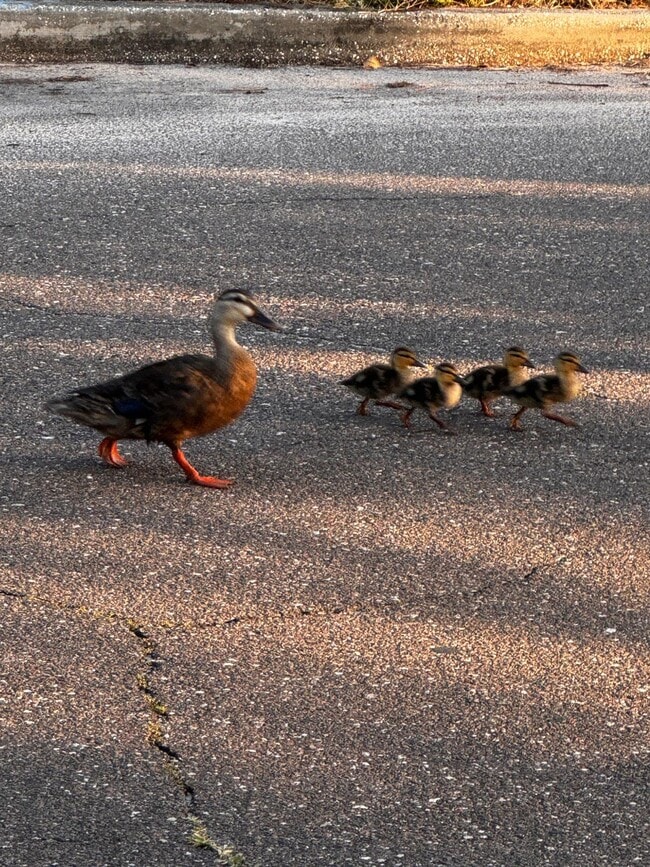 Building Photo - 521-512 12th Ave N