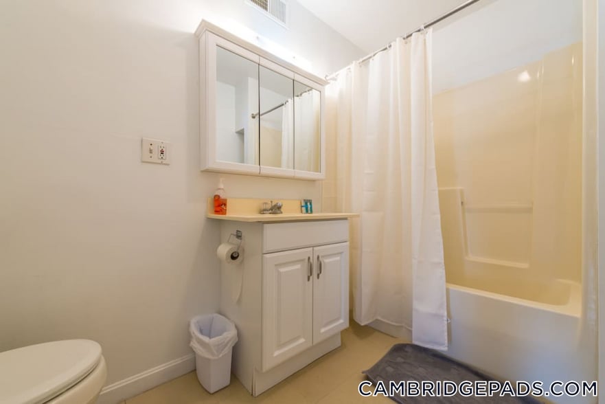 Building Photo - 199 Mt Auburn St