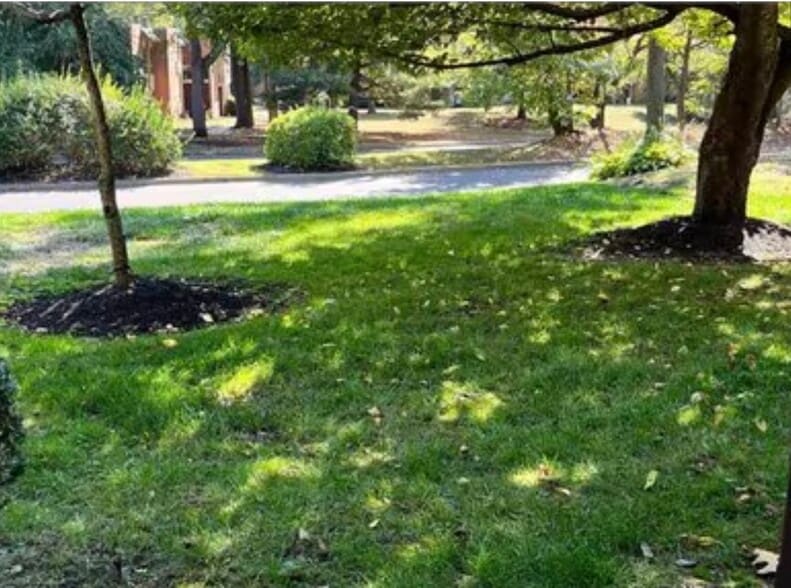 Building Photo - 306A Kelly Cv