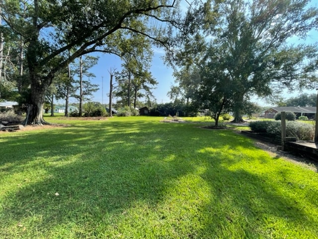 Building Photo - 133 Dalton Ln