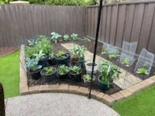 Building Photo - Spacious Pleasanton Home