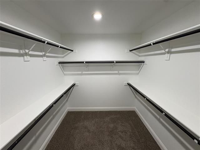 Building Photo - 1904 Tawny Dr