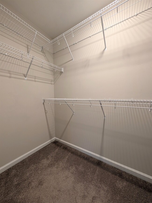 Building Photo - 129 Goldenrod Cir