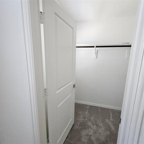 Building Photo - 2309 Jack Rabbit Wy